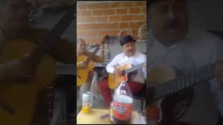 tito cantando polka paraguaya [upl. by Warfourd116]