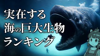 【怖い】実在する海の巨大生物ランキングTOP10 [upl. by Enymsaj]