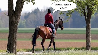 Clip Clop Horse  FREE Sound Effect [upl. by Dnalel]