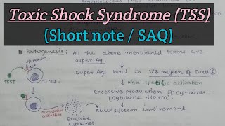 Toxic Shock Syndrome TSS  Staphylococcus aureus  Short answer question  M For Microbiology [upl. by Nashoma]