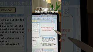 HOW TO USE Kilonotes on iPad ✍️ [upl. by Oregolac]