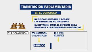 El procedimiento parlamentario de aprobación de las leyes [upl. by Gerfen]