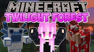 TWILIGHT FOREST 1211 MOD SHOWCASE [upl. by Llet]