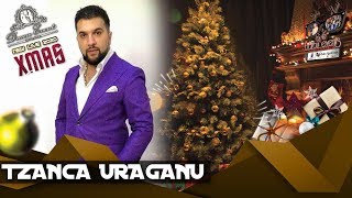 Tzanca Uraganu ❌ Esti iubirea vietii mele NEW HIT 2020 Dream Events By Barbu Events [upl. by Philbin]