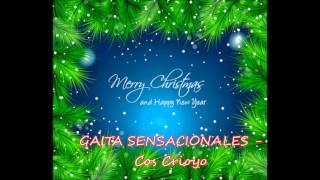 Gaita Sensacionales Cos Crioyo [upl. by Aleuqahs548]