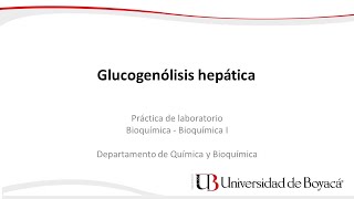 Glucogenólisis hepática [upl. by Ardnoek]