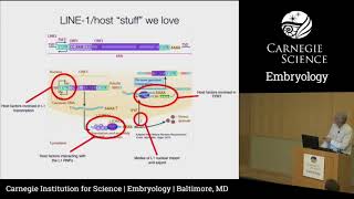 Carnegie Embryology Minisymposium 2018  Jef Boeke [upl. by Yvette]