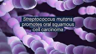 Streptococcus mutans promotes oral squamous cell carcinoma via metabolic reprogramming [upl. by Libnah735]