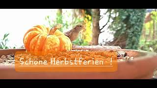 Schöne Herbstferien [upl. by Nuahsed]