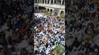 2024 Jalsa Dastar Bandi Jamia Qasmia Madarsa Shahi Moradabad [upl. by Icak]