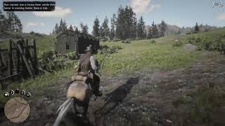 RED DEAD REDEMPTION 2 RESTART PART 2 NO CHEATS SPEEDRUN [upl. by Hnahk]