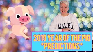 The year of the PIG 2019 Chinese animal horoscope for the year 2019 [upl. by Agata]