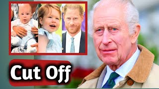 The SHOCKING Decision King Charles Cuts Off Harry and Kids from Royal Line [upl. by Dnob]