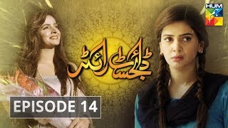 Digest Writer Episode 14 HUM TV Drama [upl. by Chadbourne]