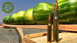 50 BMG vs 338 Lapua Part 2 ft Edwin Sarkissian [upl. by Freudberg]