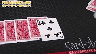 FISM ACM2017 Walking in dealer booths CardSharkGermany・Magic 007China [upl. by Ateuqram]