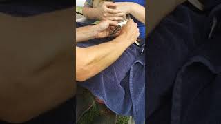 How to splint a duck foot Duck Splint Video 3 [upl. by Penn]