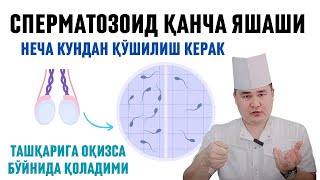 ЭРКАК УРУҒИ ЯШОВЧАНЛИГИ БОЛА ҚИЛИШГА НЕЧА КУНДАН АЛОҚА ҚИЛИШИ КЕРАК ТАШҚАРИГА ОҚИЗСА БОЛА БЎЛАЛИМИ [upl. by Armando916]