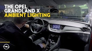 The Opel Grandland X Ambient Lighting IAA 2017 [upl. by Atiuqaj]