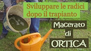 Come fare il Macerato di Ortica filtraggio ed applicazione SECONDA PARTE [upl. by Beare]