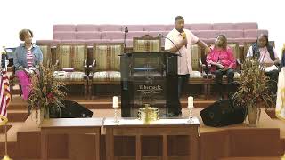 Pastor Horice Willis  The Amazing Power of Spiritual Sight [upl. by Giacamo]