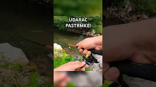 Potočna PASTRMKA Sa POLA REPA  Varaličarenje i Brutalan UDARAC na MEPPSA [upl. by Lucias735]