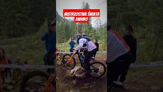 Mistrzostwa Świata Enduro MTB mtb rower downhill [upl. by Nela]