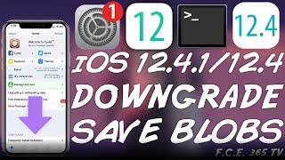 How To Save iOS 124 and 1241 SHSH2 Blobs for iOS Downgrades amp JAILBREAK Do It Now [upl. by Magdala]