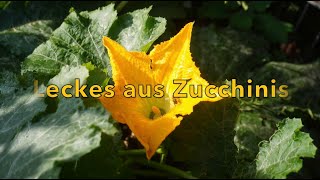 Meine Lieblingsrezepte  Leckeres aus Zucchinis  einfache und spannende Rezeptideen [upl. by Griseldis]