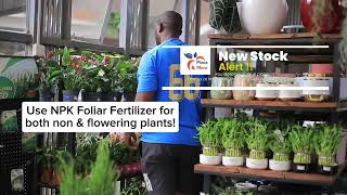 Do you fertilize your plants we restocked our famous NPk fertilizer [upl. by Analah]