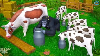 Gorillas Dairy Dilemma Cow Calfs Hilarious Milk Stealing Antics Funny Cows Comedy Cartoons [upl. by Moon]