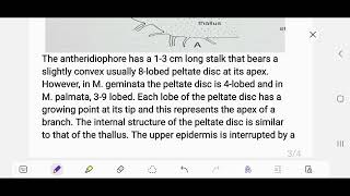 Antheridiophore of Marchantia [upl. by Eerihs]