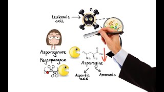 Pharmacology  CANCER DRUGS  HORMONAL THERAPY MADE EASY [upl. by Garson]