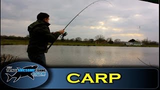 How to catch Carp with Prawns  The Totally Awesome Fishing Show [upl. by Martel]