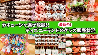 【最新情報】東京ディズニーランドのグッズの販売状況、在庫情報 [upl. by Bartolemo]