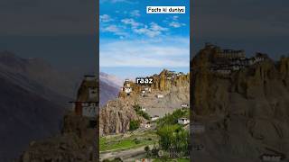 Spiti Valley Ke Wadiyon Ka sachspitivalley valley mountains facts ytshorts explorepage [upl. by Yclehc572]