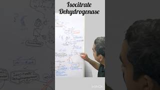 Isocitrate Dehydrogenase TCA Cycle II Step [upl. by Yesllek]