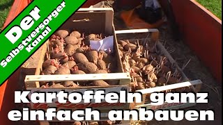 Kartoffeln ganz einfach anbauen [upl. by Blockus]