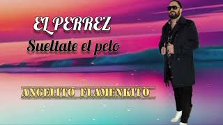 El Perrez FT Angelito Flamenkito quotSueltate el peloquot [upl. by Quirk886]