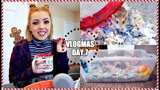 I GOT A NEW HAMSTER  Meet my new Roborovski Hamster  Vlogmas [upl. by Mazurek]