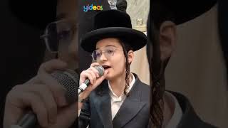 🎶 זאת התורה  בנצי קלצקין Bentzi Kletzkin Sings Zot Hatorah [upl. by Hodgson379]