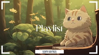 【Playlist】 1 Hour Healing Harmonies Beautiful Piano Music for Sleep and Restoration 🌙🎹 [upl. by Abra]