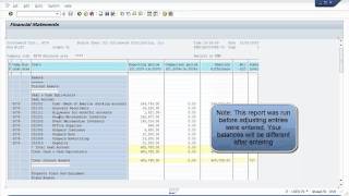 SAP Run Financial Statements [upl. by Nolad]