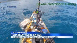 Shark attacks kayaker off Kualoa caught on camera [upl. by Cyma]