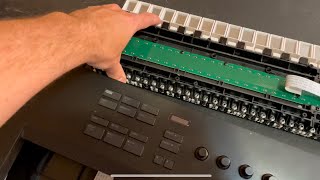 Dead Key Fix Native Instruments Komplete Kontrol A49 MIDI controller  rattling inside keyboard [upl. by Attenborough11]