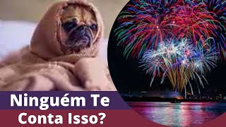 CACHORRO COM MEDO DE FOGOS DE ARTIFICIOS POR QUE ELES TEM MEDOO QUE FAZER [upl. by Sousa]