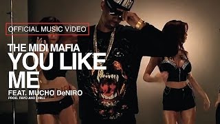 The MIDI Mafia  You Like Me feat Mucho DeNiro Official Music Video [upl. by Howes]