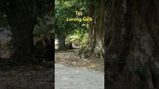 Edit VideoTes Lorong Gaibshirts [upl. by Roshan]