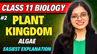 Plant Kingdom One Shot Part 2🔥 Class 11 Biology  Chapter 3  CBSE  NEET 2025 Easiest Explanation [upl. by Erialcyram]