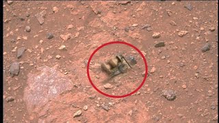 Mars perseverance Rover Captured a New 4k Stunning Video Footage of Mars Surface Mars in 4k [upl. by Zolnay]